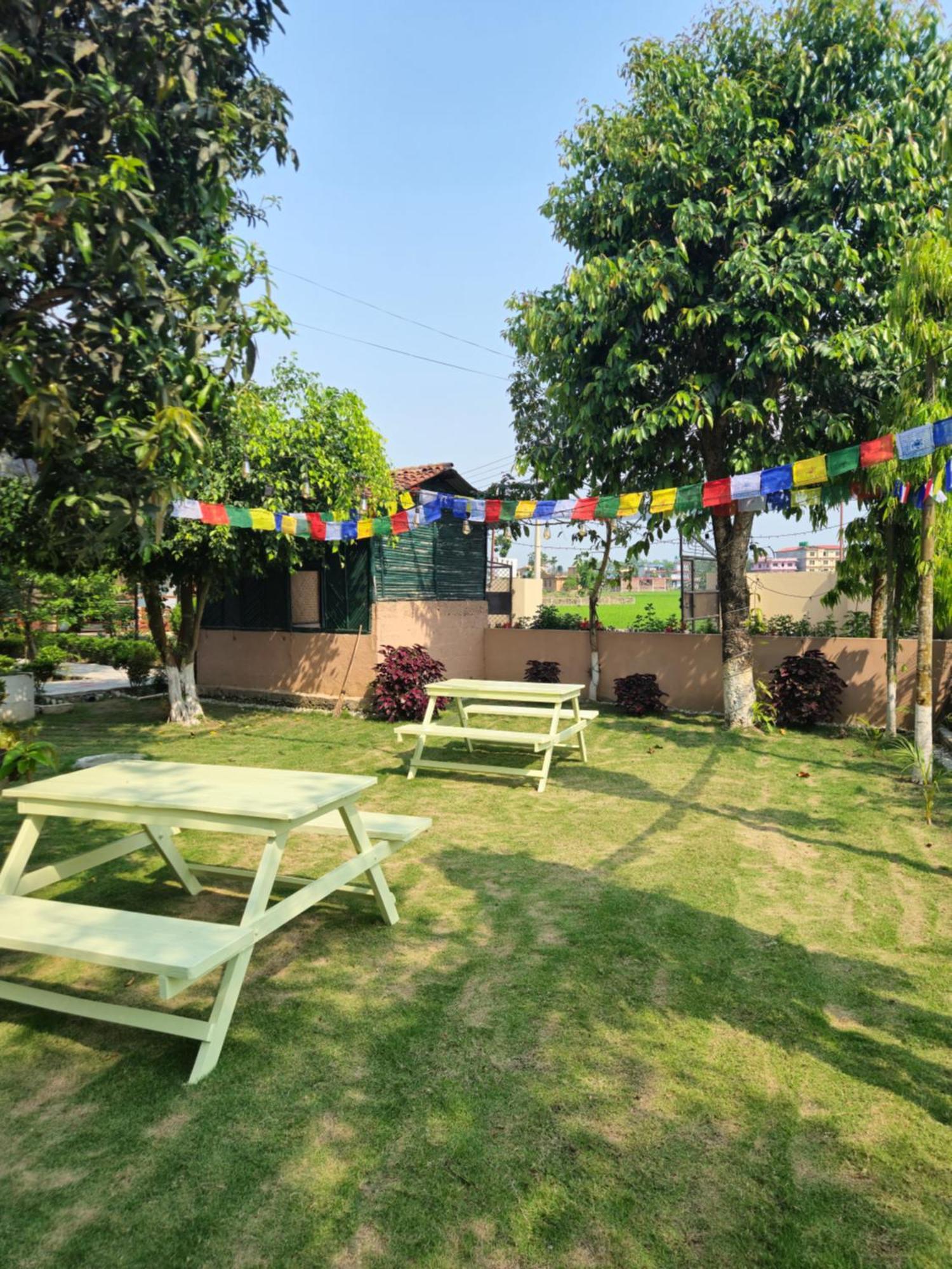 Hotel Tree Tops- A Serene Friendly Hotel In Sauraha Chitwan Eksteriør bilde
