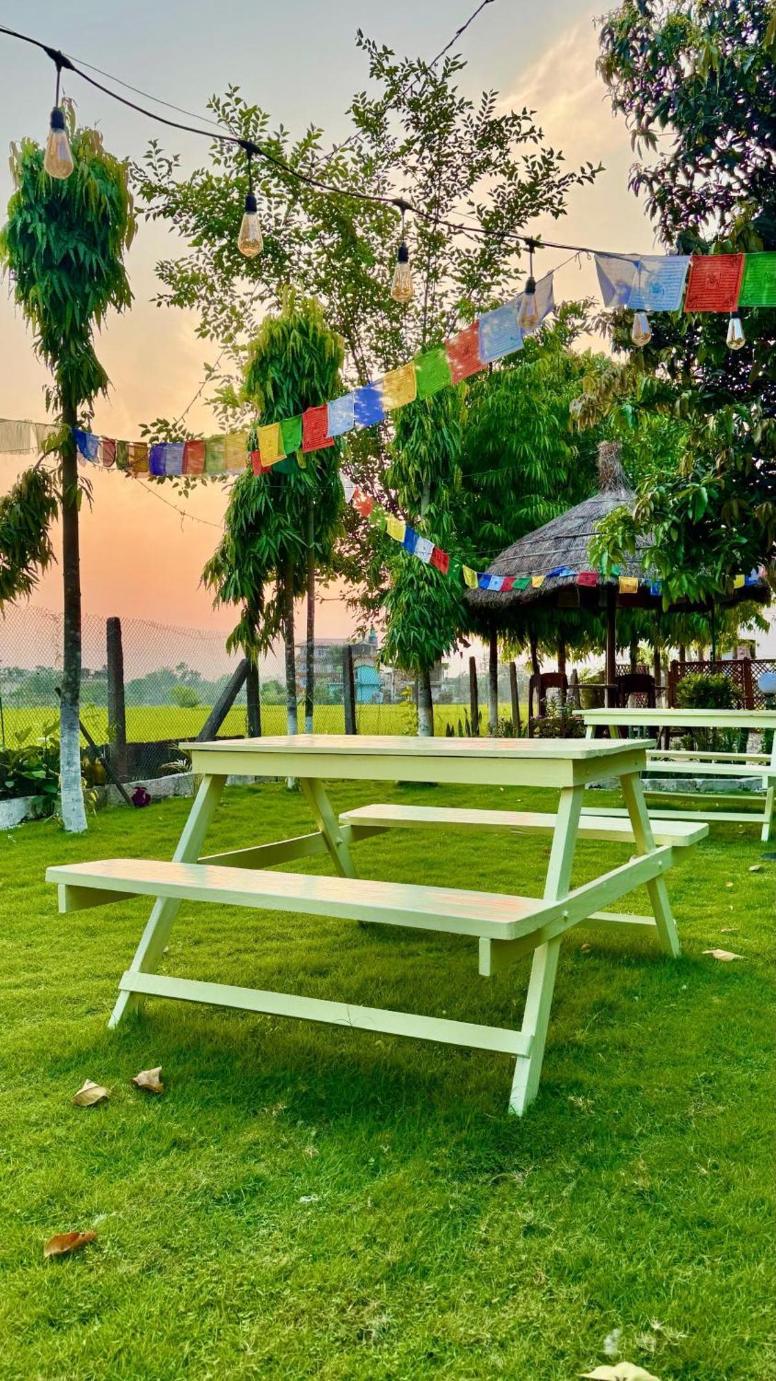 Hotel Tree Tops- A Serene Friendly Hotel In Sauraha Chitwan Eksteriør bilde